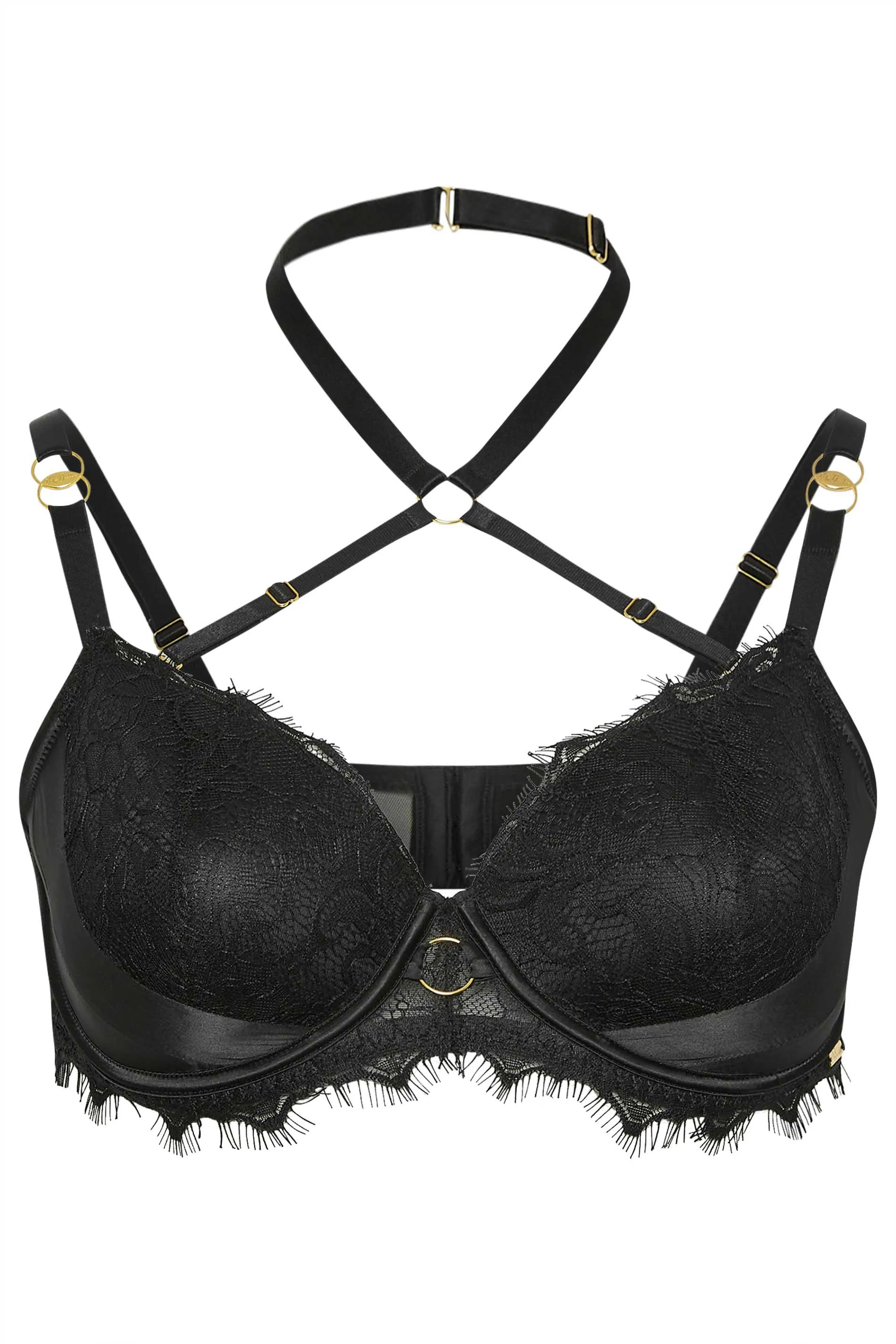 YOURS Black Boudoir Lace Choker Padded Bra